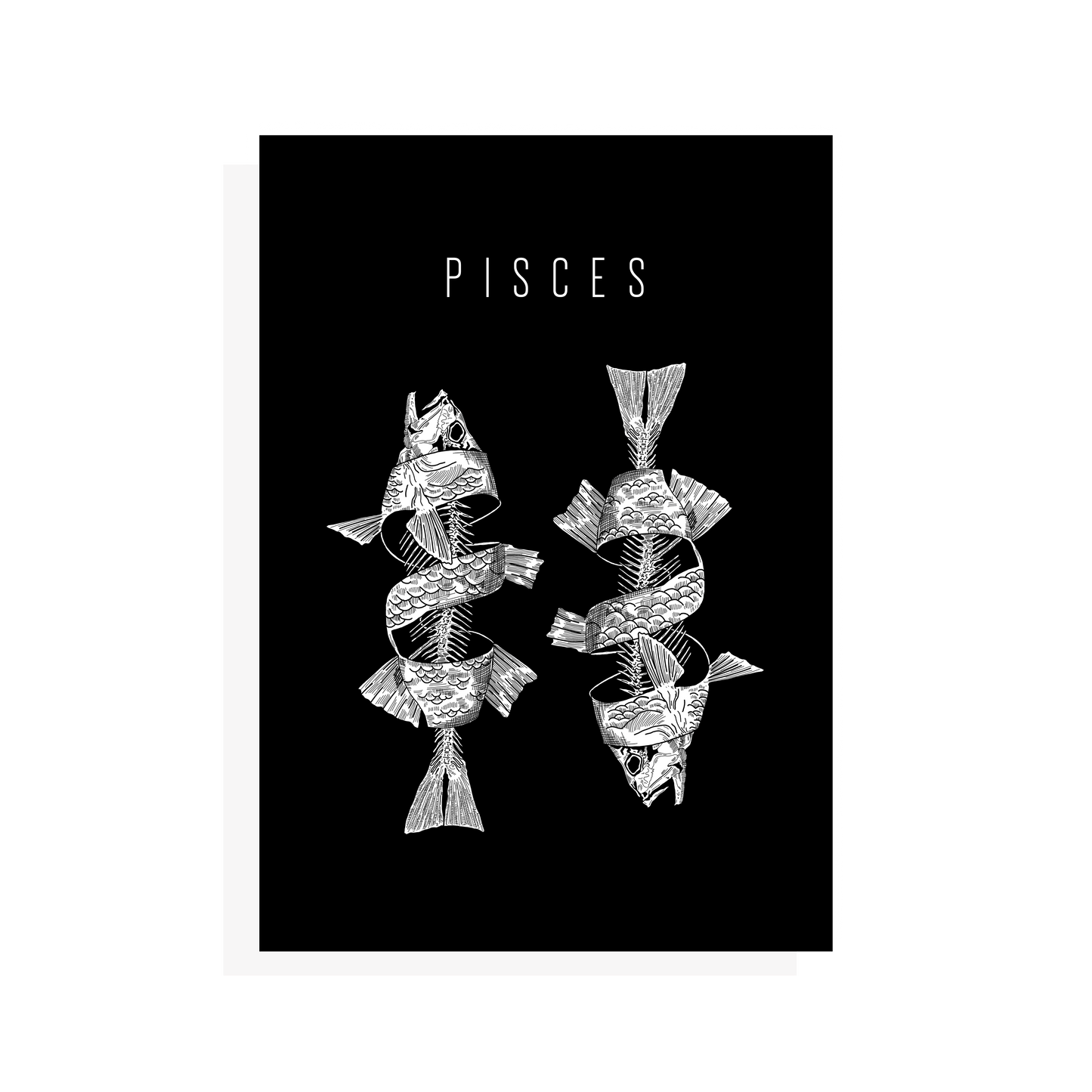 Pisces Postcard