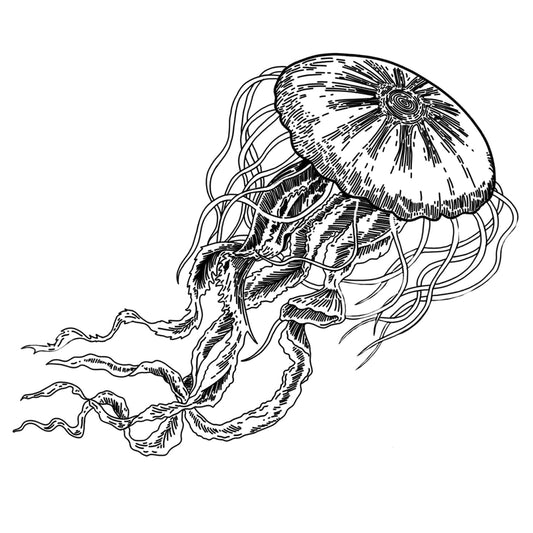 Jelly Fish Sticker